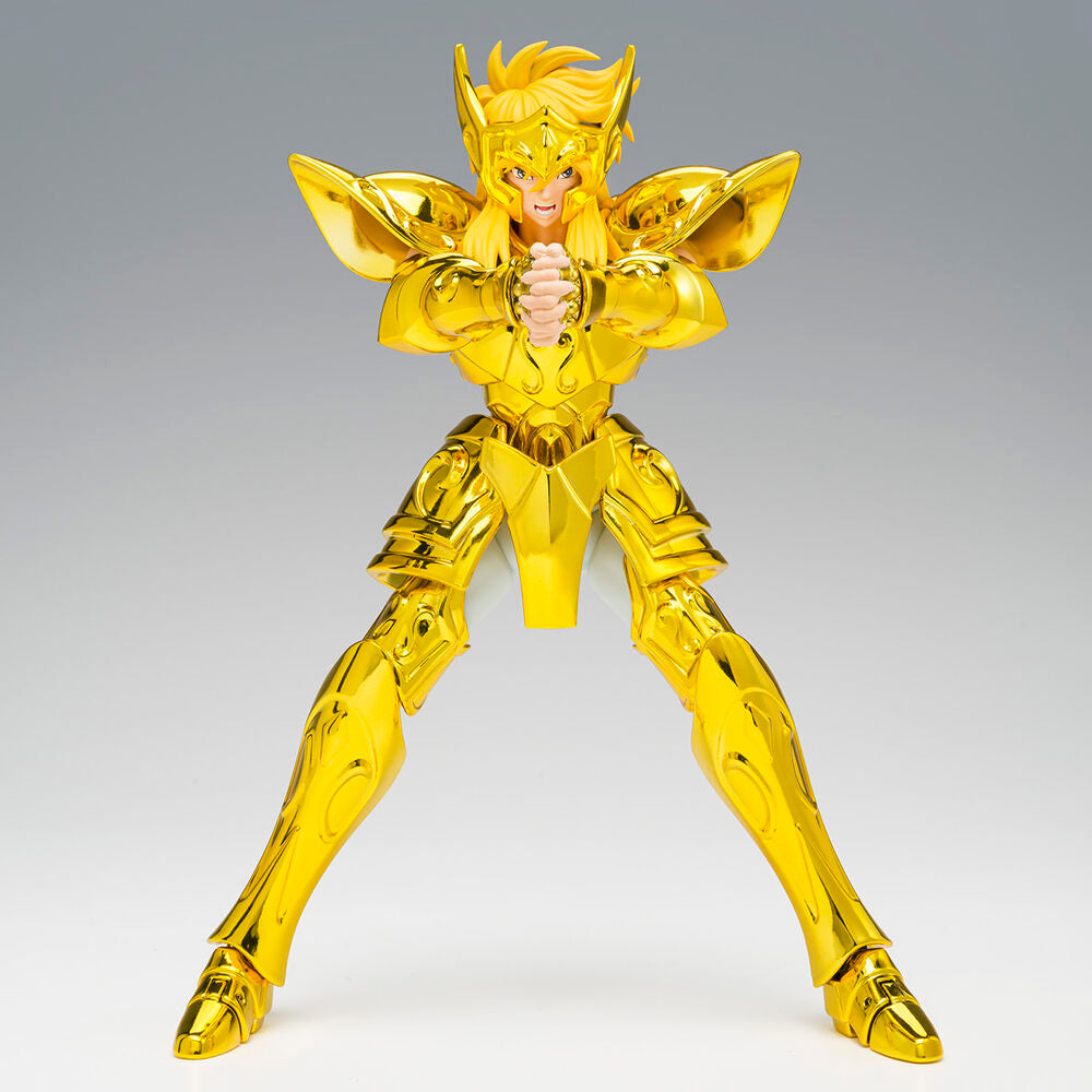 SAINT CLOTH MYTH EX AQUARIUS HYOGA INHERITOR OF THE GOLD CLOTH
