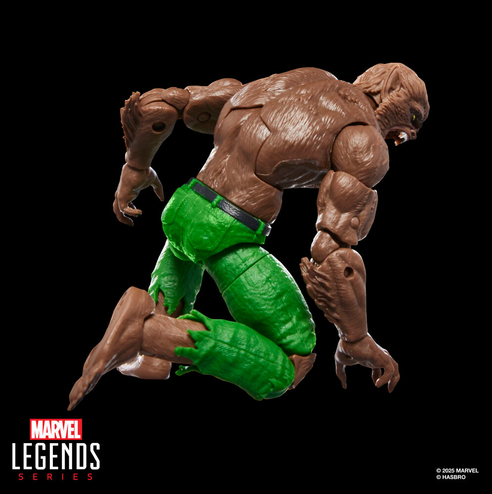 Figura Werewolf By Night Marvel Legends Series 15 cm