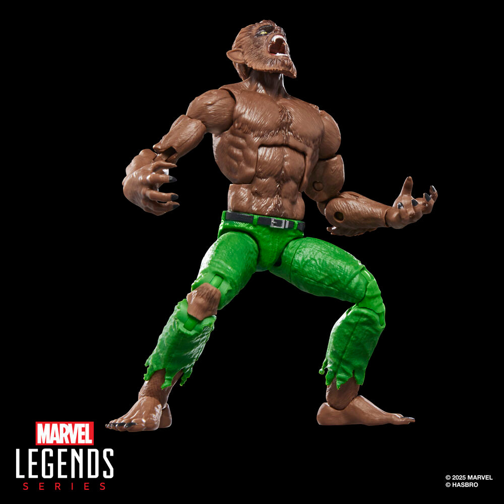 Figura Werewolf By Night Marvel Legends Series 15 cm