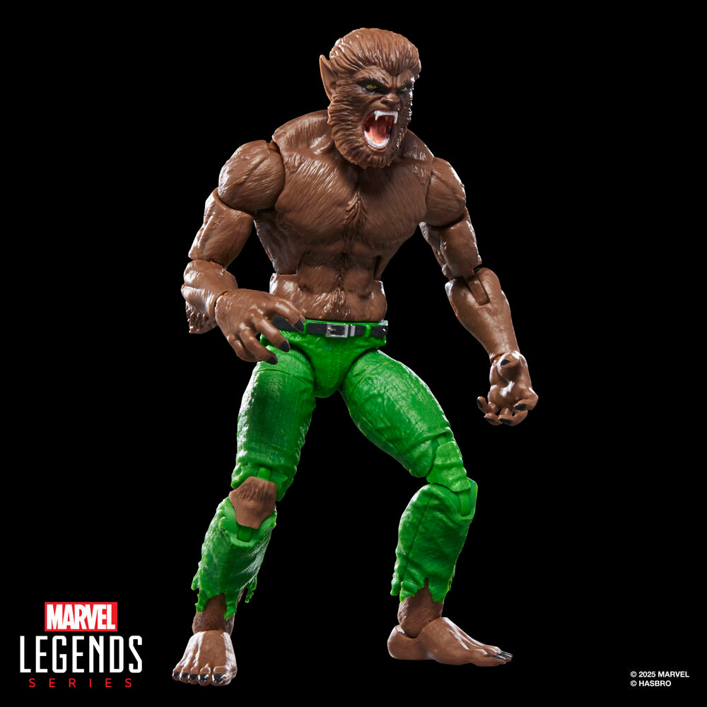 Figura Werewolf By Night Marvel Legends Series 15 cm