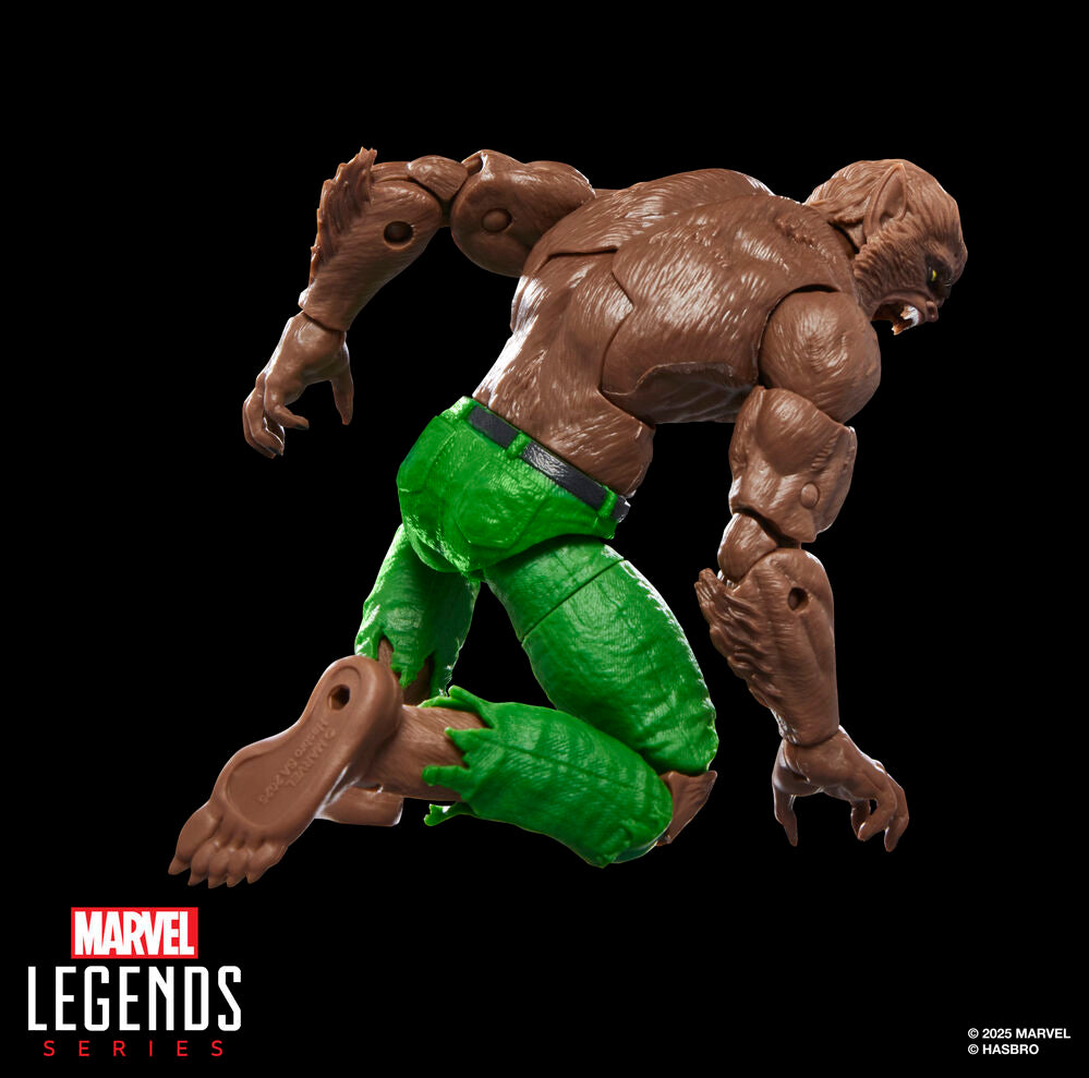 Figura Werewolf By Night Marvel Legends Series 15 cm