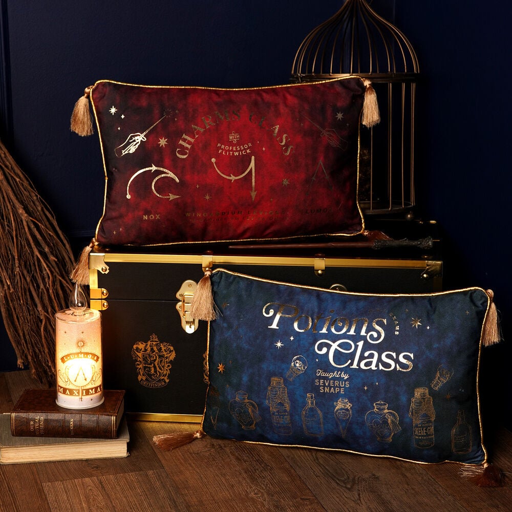 Cojin velvet Potions Class Harry Potter
