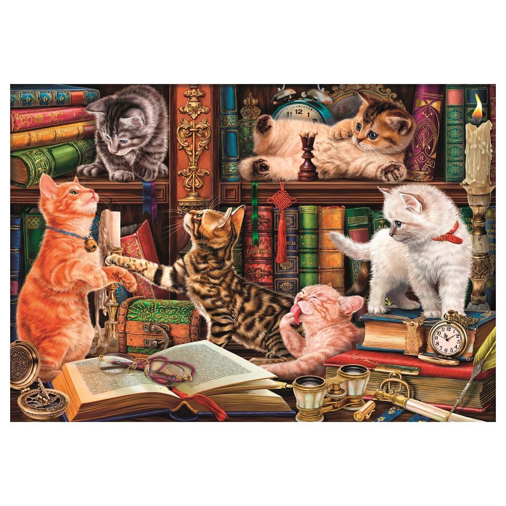 Puzzle Curious Whiskers 1000pzs