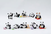 Panda Roll Figuras Blind Box Surtido Panda As A Cat 7 cm (8)