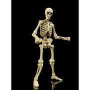 Epic H.A.C.K.S. Figura 1/12 Skeleton Blank Classic Bone