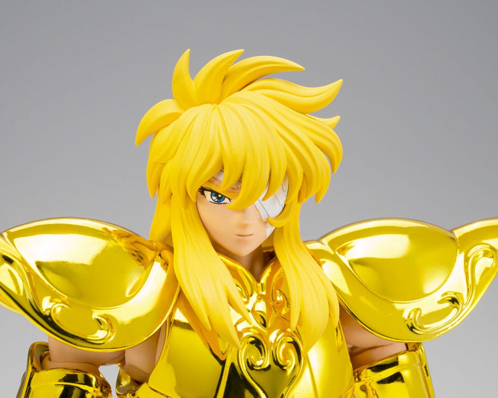 SAINT CLOTH MYTH EX AQUARIUS HYOGA INHERITOR OF THE GOLD CLOTH