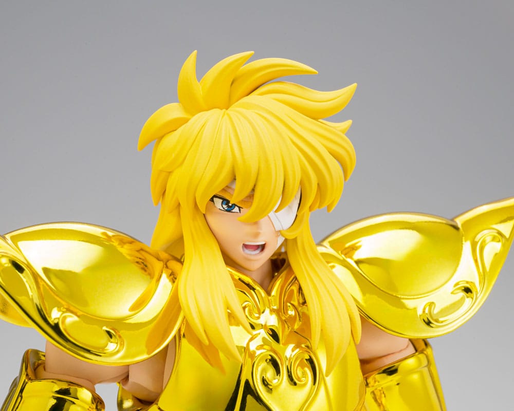 SAINT CLOTH MYTH EX AQUARIUS HYOGA INHERITOR OF THE GOLD CLOTH