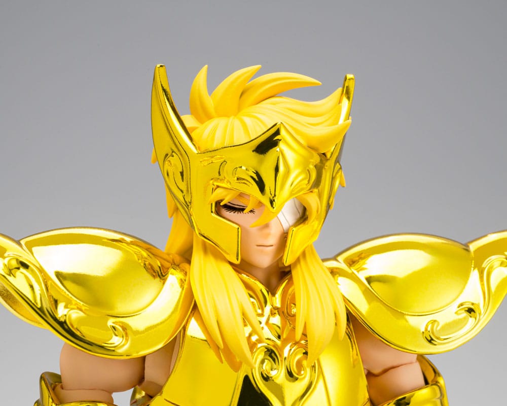SAINT CLOTH MYTH EX AQUARIUS HYOGA INHERITOR OF THE GOLD CLOTH