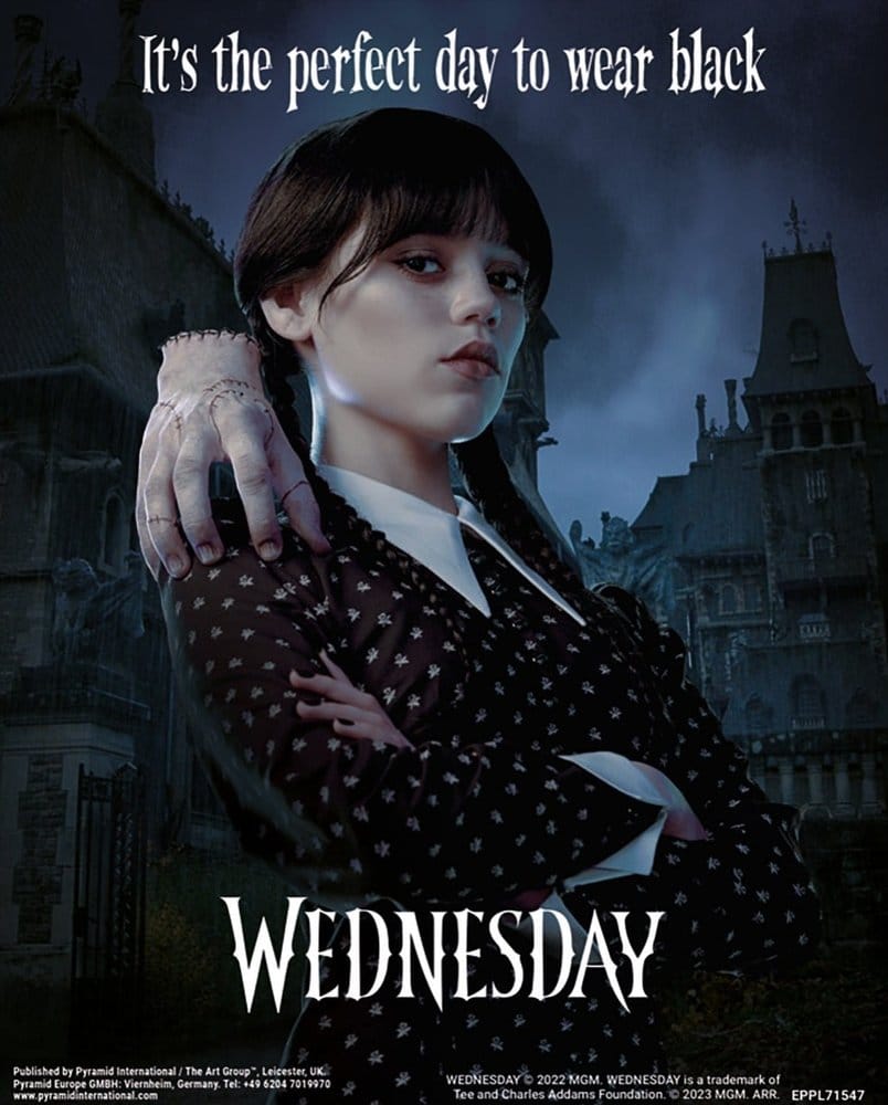 Wednesday Póster Efecto 3D Perfect Day 26 x 20 cm&nbsp; Frikytopia