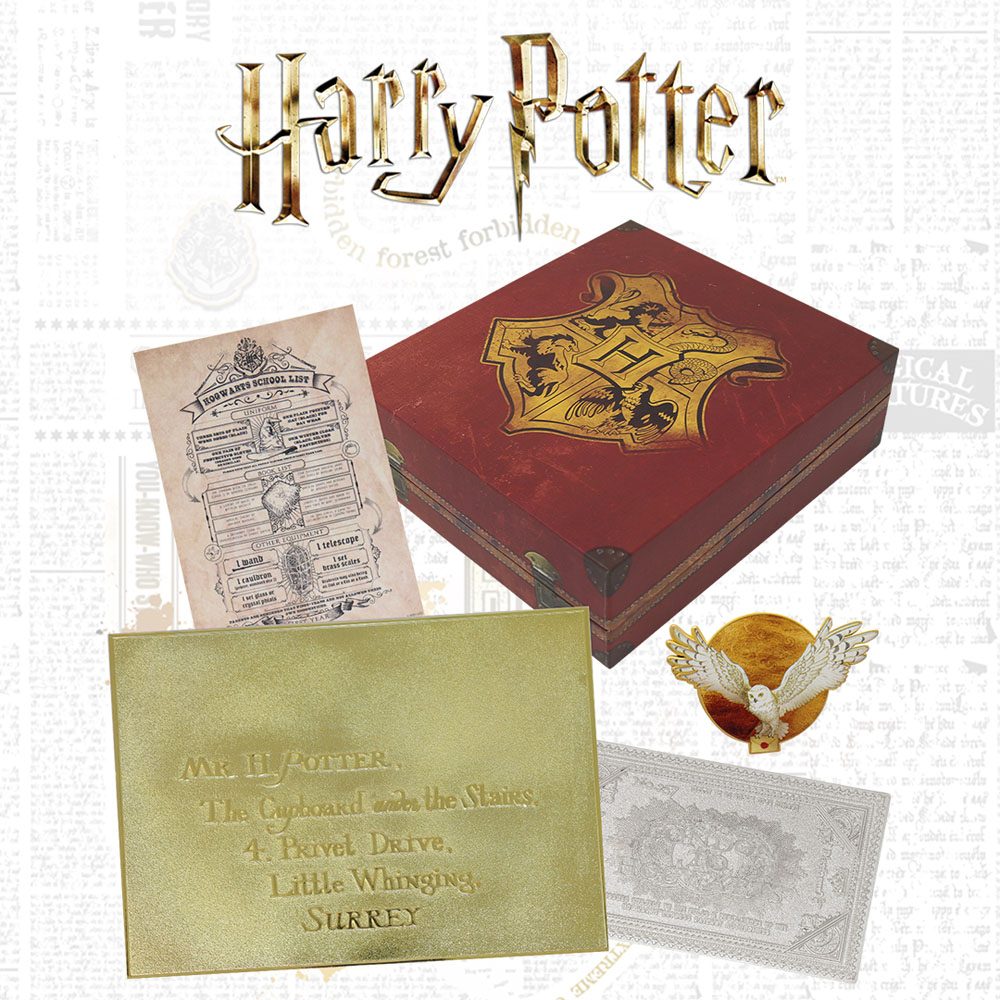 Harry Potter Pack de Regalo Collector Harry Potter's Journey to Hogwarts Collection