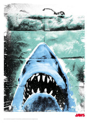 Tiburón Litografia Ver. C Limited Edition 28 x 41 cm