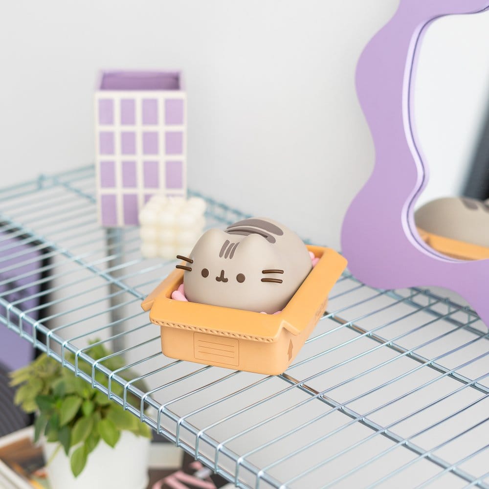 Hucha Pusheen