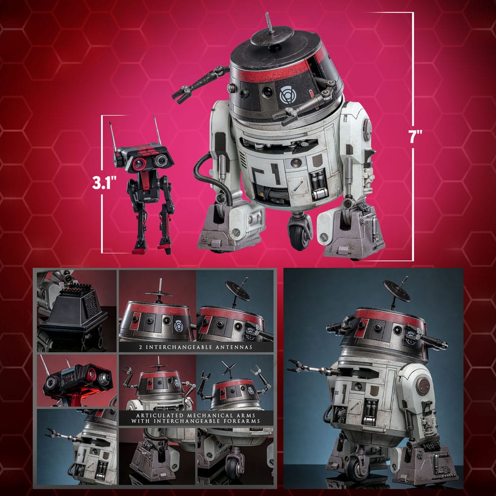 Star Wars Figura Set 1/6 Chopper (C1-10P™) & BD-1™ (Imperial Disguise) 18 cm & 8 cm