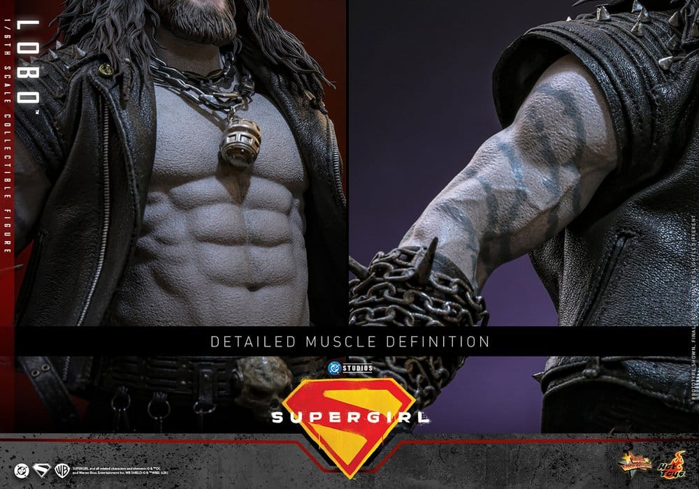 DC Comics Movie Masterpiece Figura 1/6 Lobo 33 cm