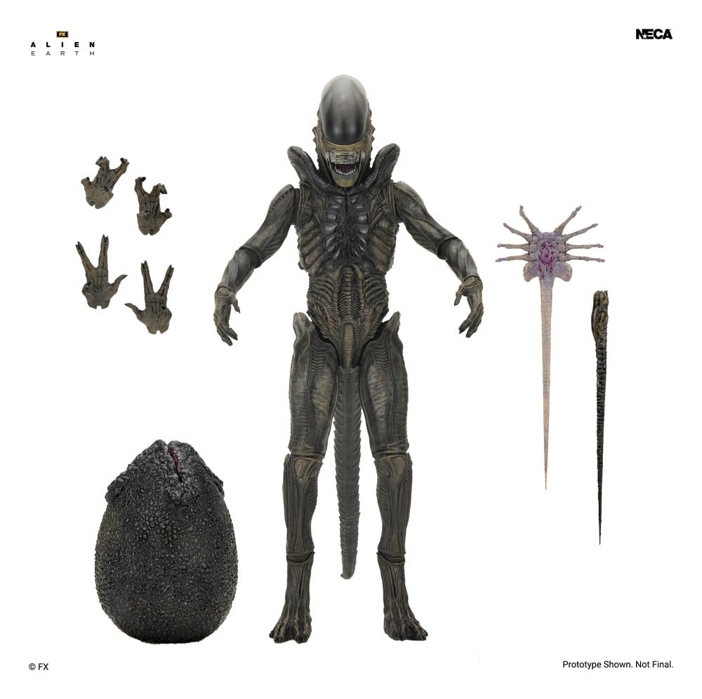 Alien: Earth Ultimate Figura Xenomorph 18 cm