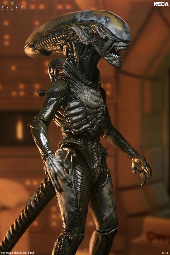 Alien: Earth Ultimate Figura Wendy's Xenomorph 18 cm
