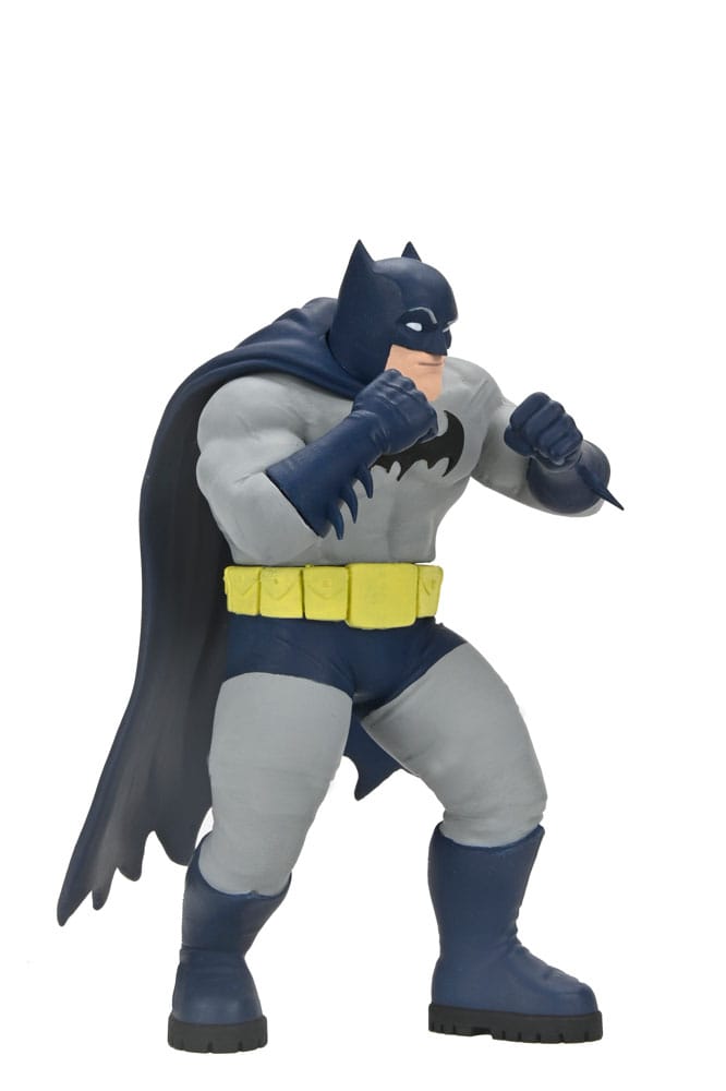 DC Comics Figuras Series 2 15 cm Surtido (12)