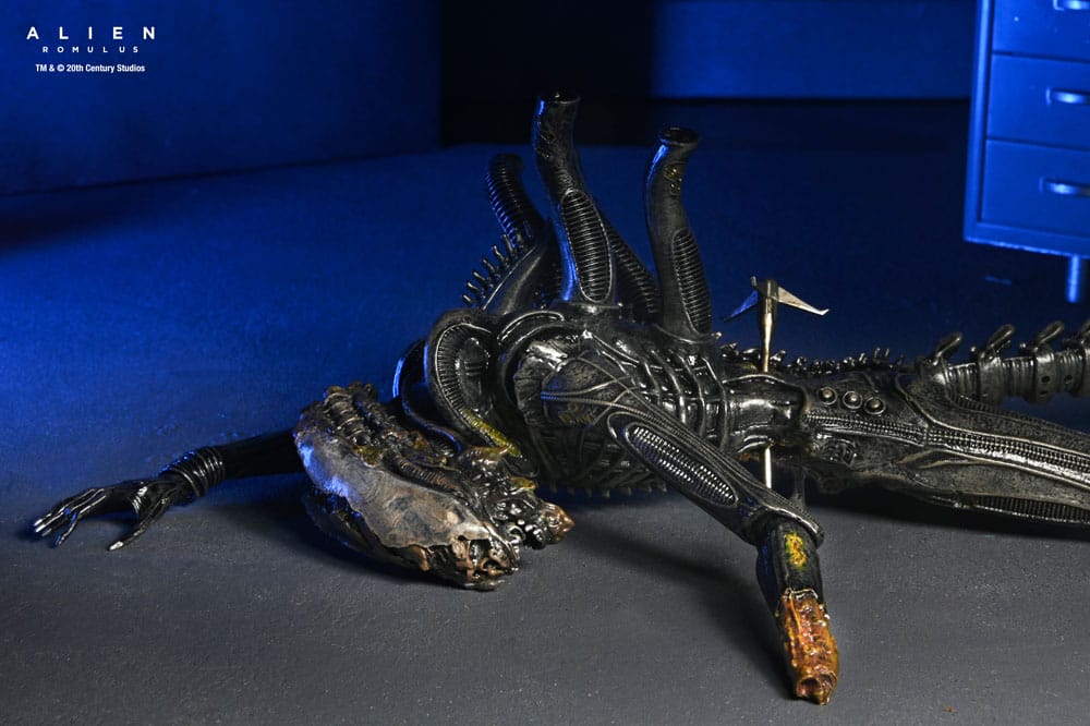 Alien: Romulus Figura Deluxe Suspended Lab Xenomorph XX121 18 cm