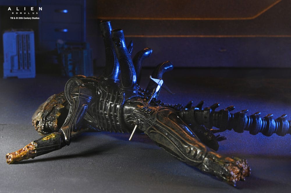 Alien: Romulus Figura Deluxe Suspended Lab Xenomorph XX121 18 cm