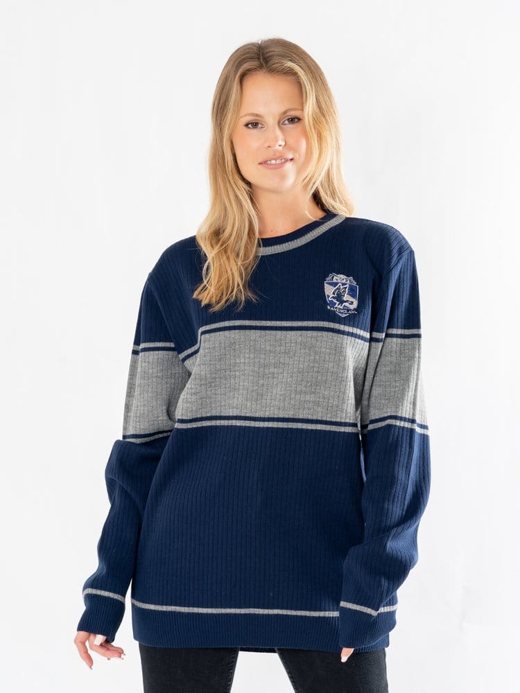 Harry Potter Sudadera Ravenclaw Talla S