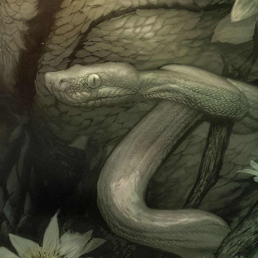 La mujer y el monstruo Litografia Creature from the Black Lagoon by Dan Quintana 61 x 41 cm - sin marco