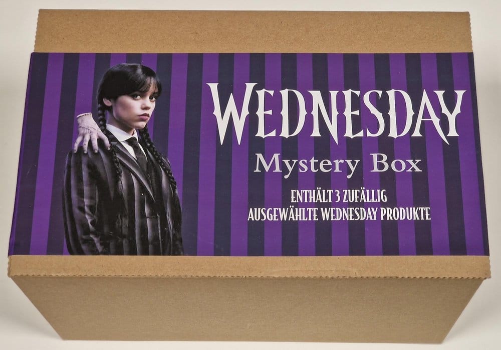 Wednesday Set de regalo Frikytopia