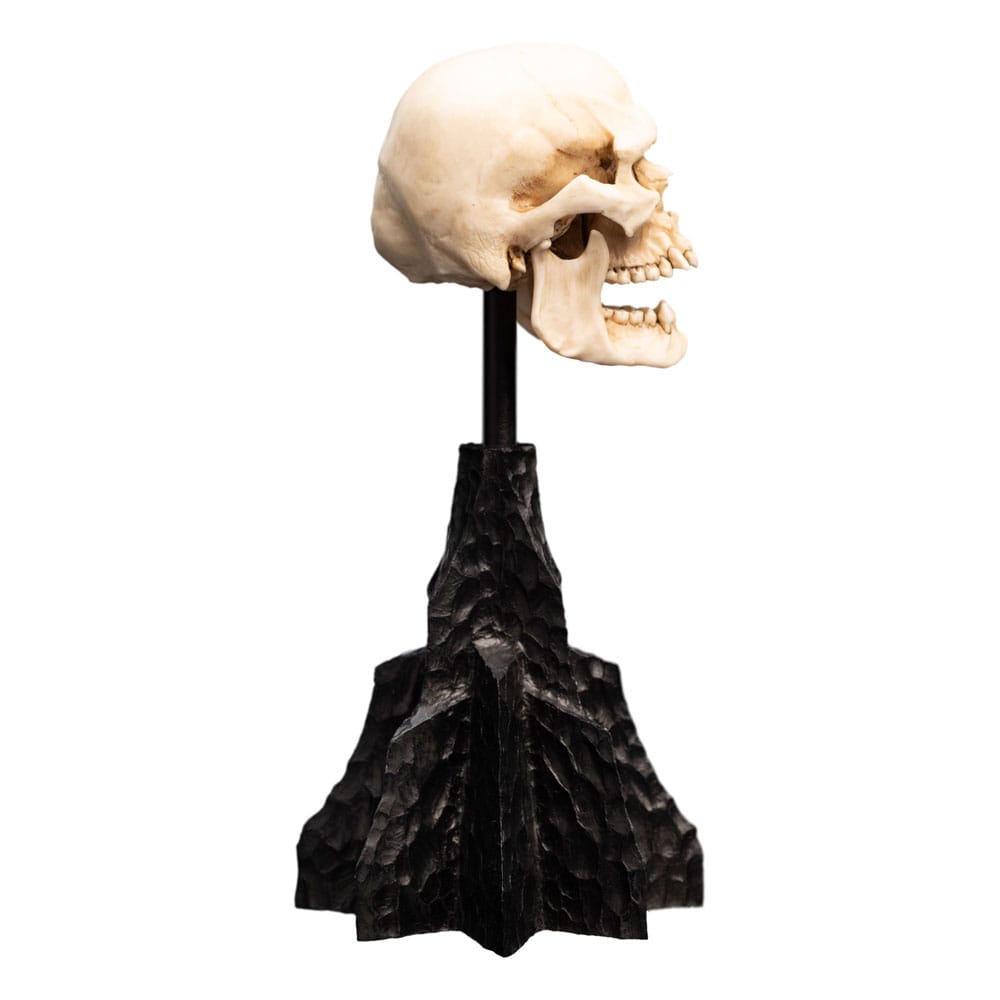 El Señor de los Anillos Estatua Skull of a Mordor Orc 14 cm