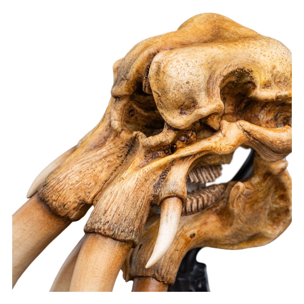 El Señor de los Anillos Estatua Skull of a Mumak 15 cm