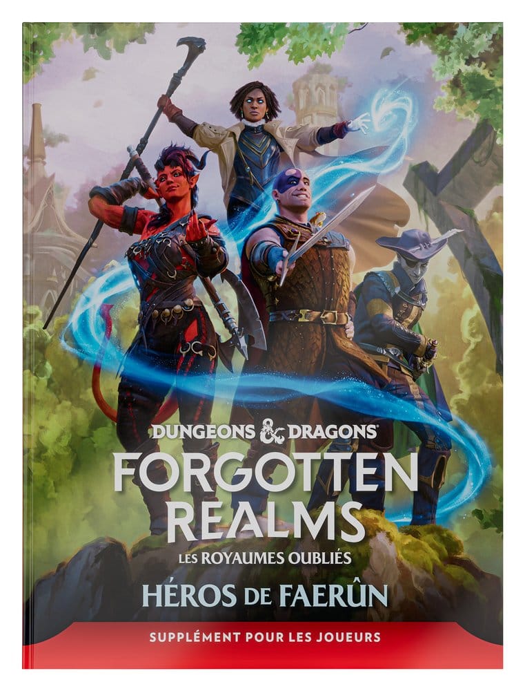 Dungeons & Dragons RPG Forgotten Realms: Héros de Faerun Guía para Jugadores *Edición Francés* Frikytopia