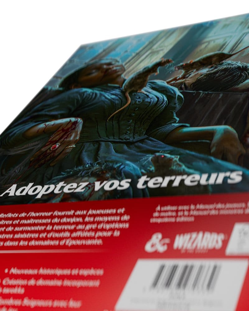 Dungeons & Dragons RPG Ravenloft: Les Reflets de l'Horreur Libro *Edición Francés*